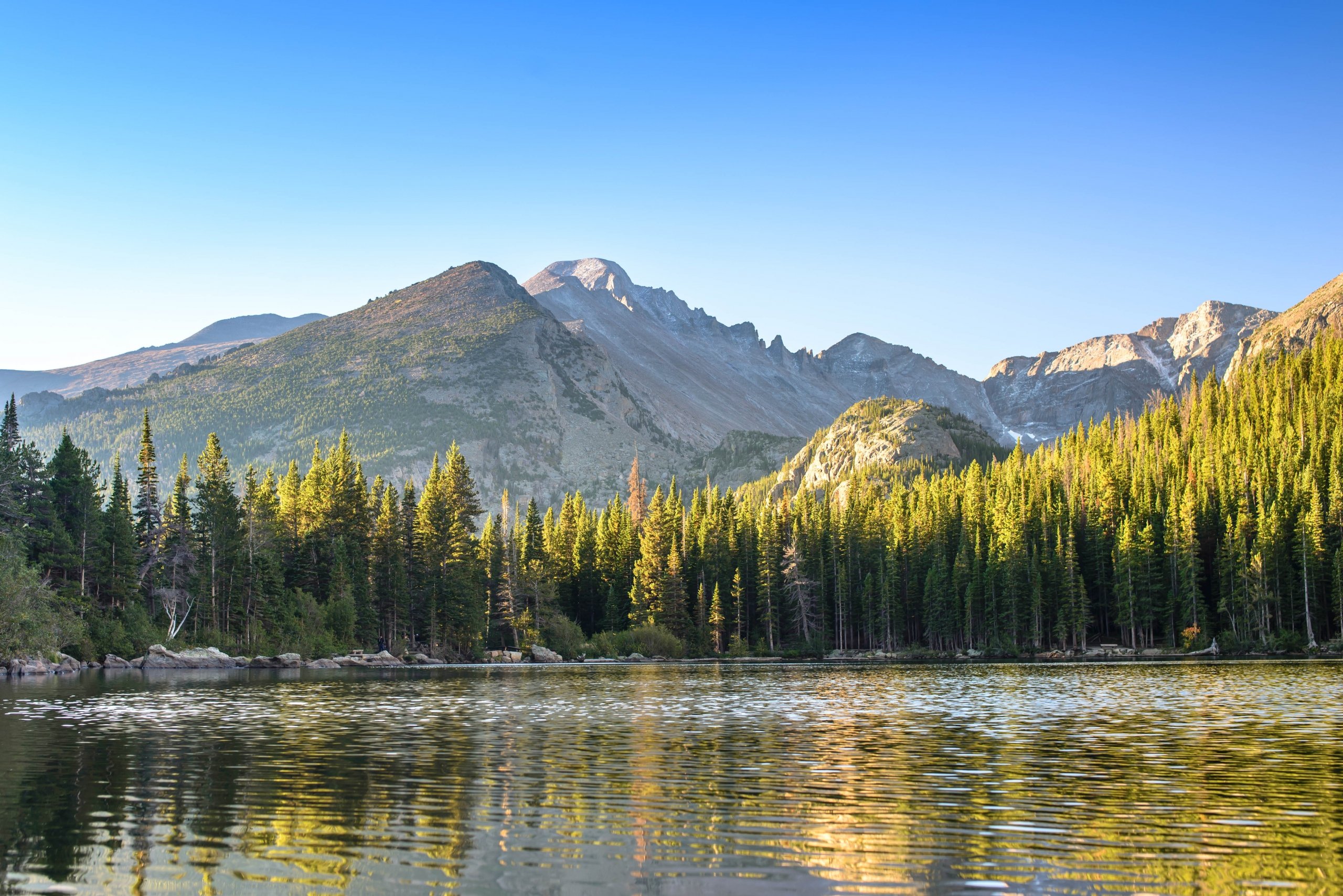 View of the Rocky Mountains in Colorado with a forest and lake