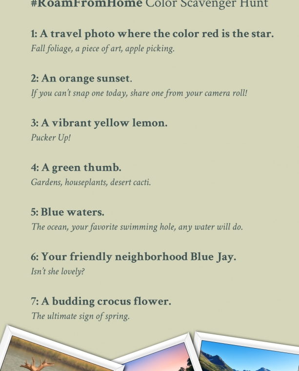 #RoamFromHome Color Scavenger Hunt