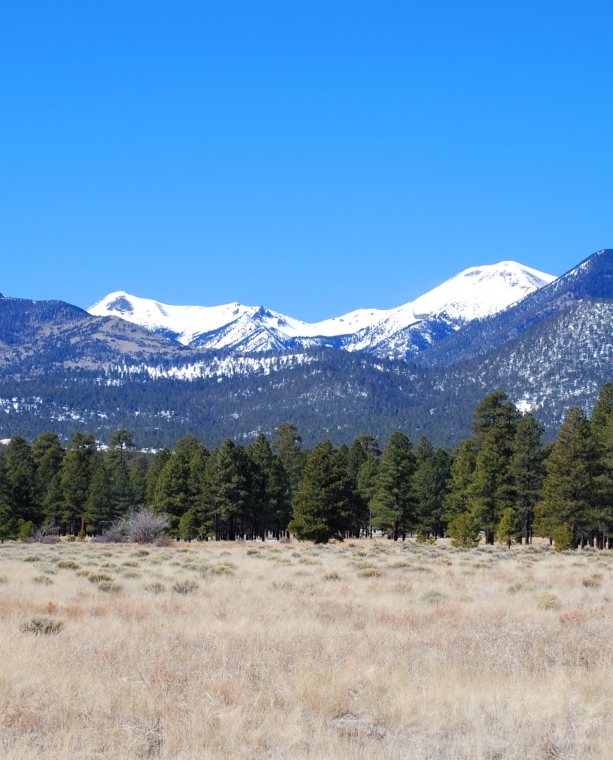 San Francisco Peaks