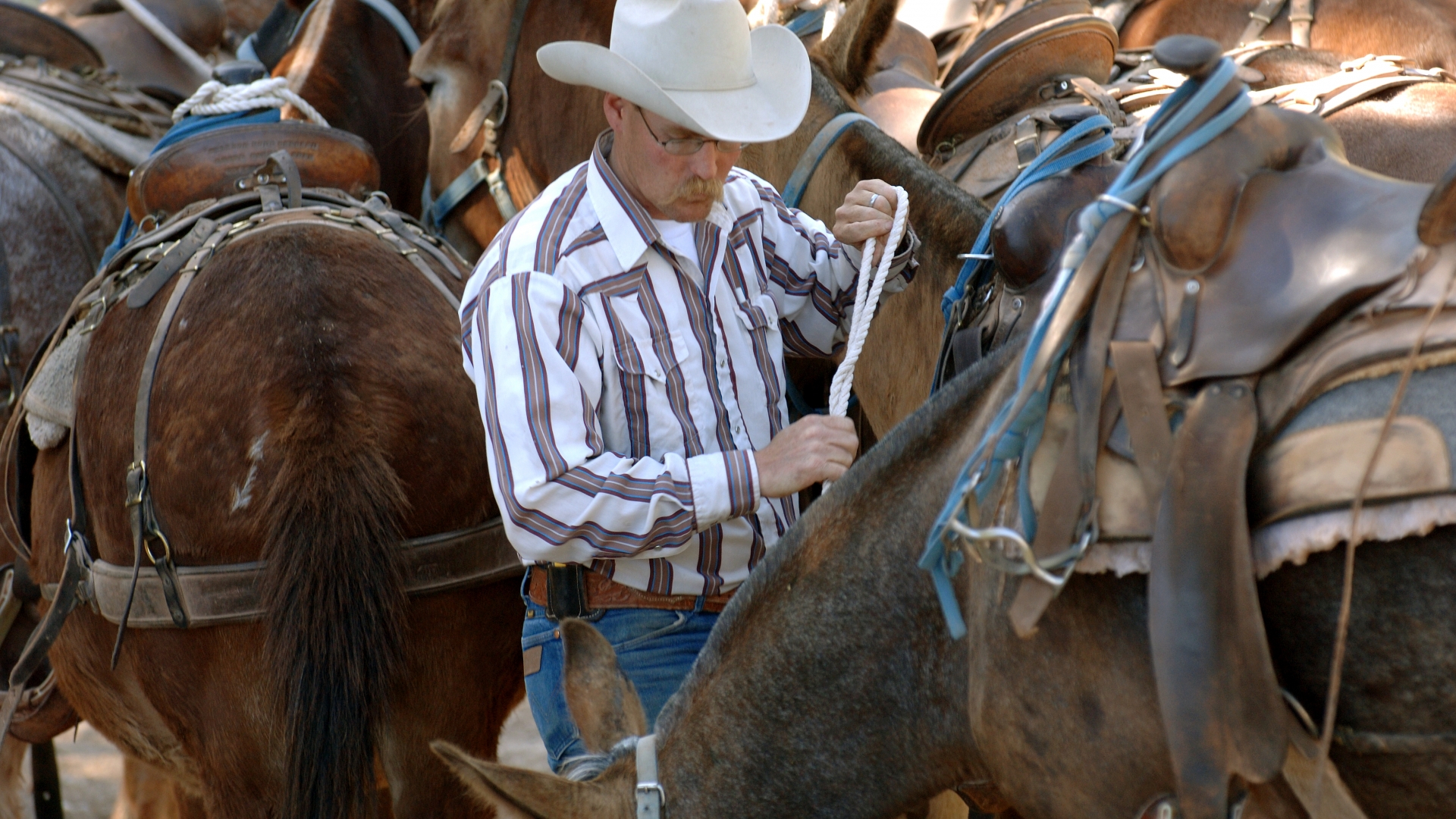 The Ultimate Window Seat on a Timeless World Xanterra Travel Collection