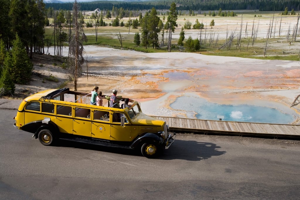 xanterra yellowstone yellow bus tours