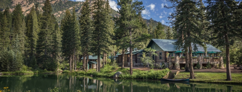 A secluded cottage in the woods