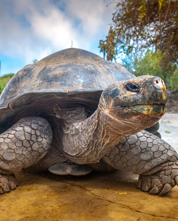 Six Fun Facts about the Galapagos Islands