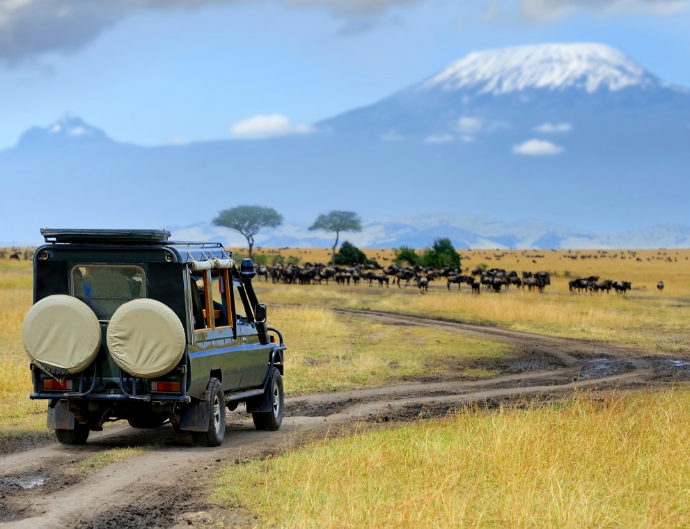 Jeep on safari