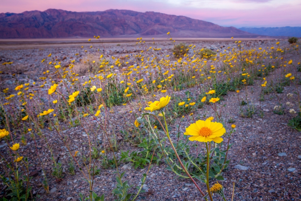 The Real Reason You Should Visit Death Valley in Winter
