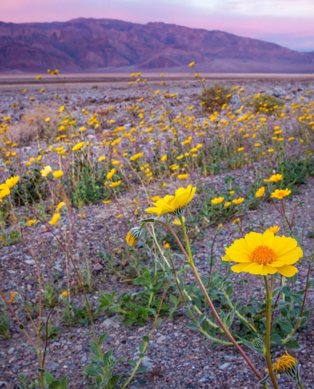 The Real Reason You Should Visit Death Valley in Winter