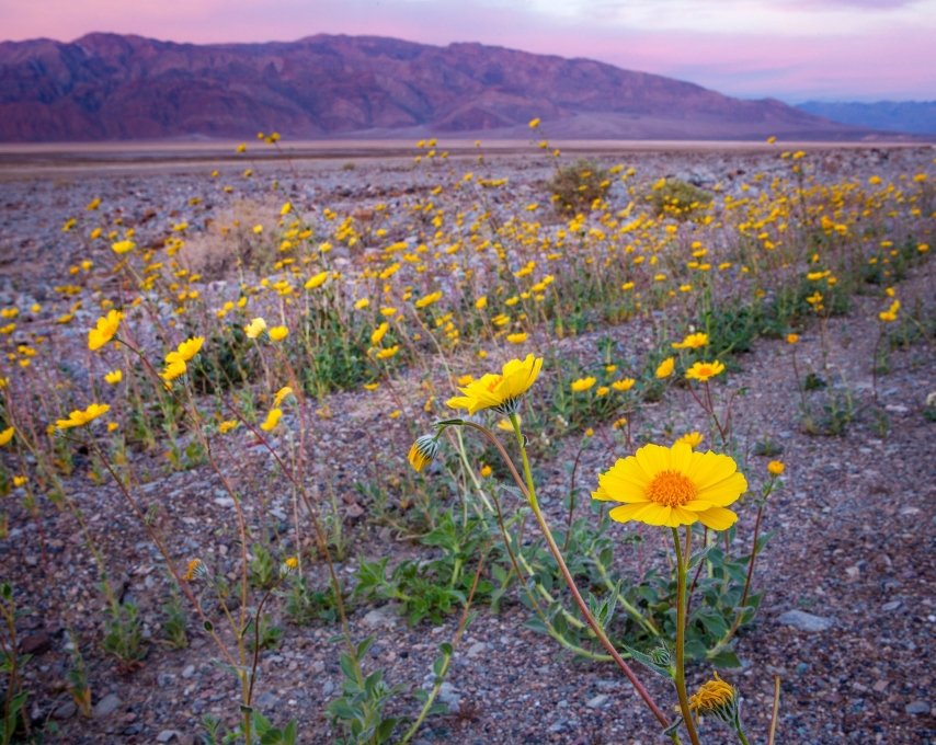 The Real Reason You Should Visit Death Valley in Winter