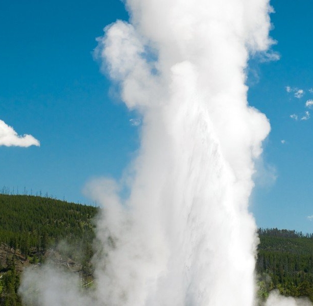 Shh! Secrets of Yellowstone