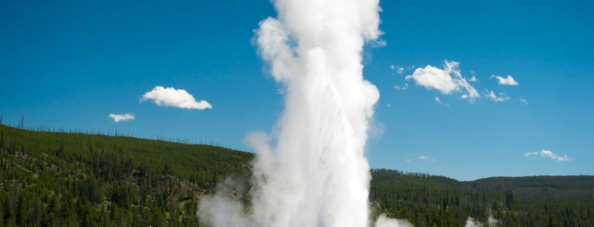 Yellowstone: Visitors’ Most Bizarre Questions