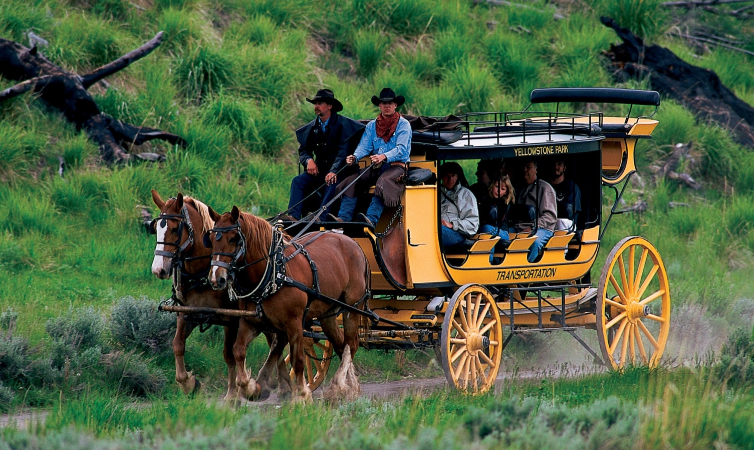 Tours of Yellowstone