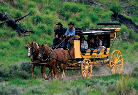 Shh! Secrets of Yellowstone 1