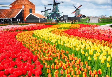 Zaanse Schans