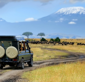 African safari