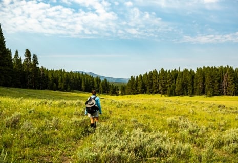 Woman Hikes through Yellowstone Wilderness on the way to Wrangler Lake