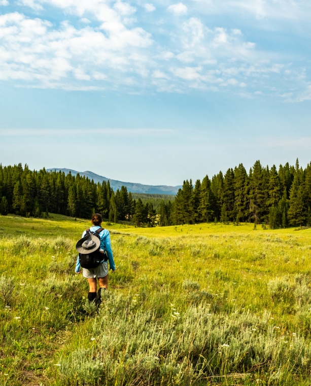Woman Hikes through Yellowstone Wilderness on the way to Wrangler Lake