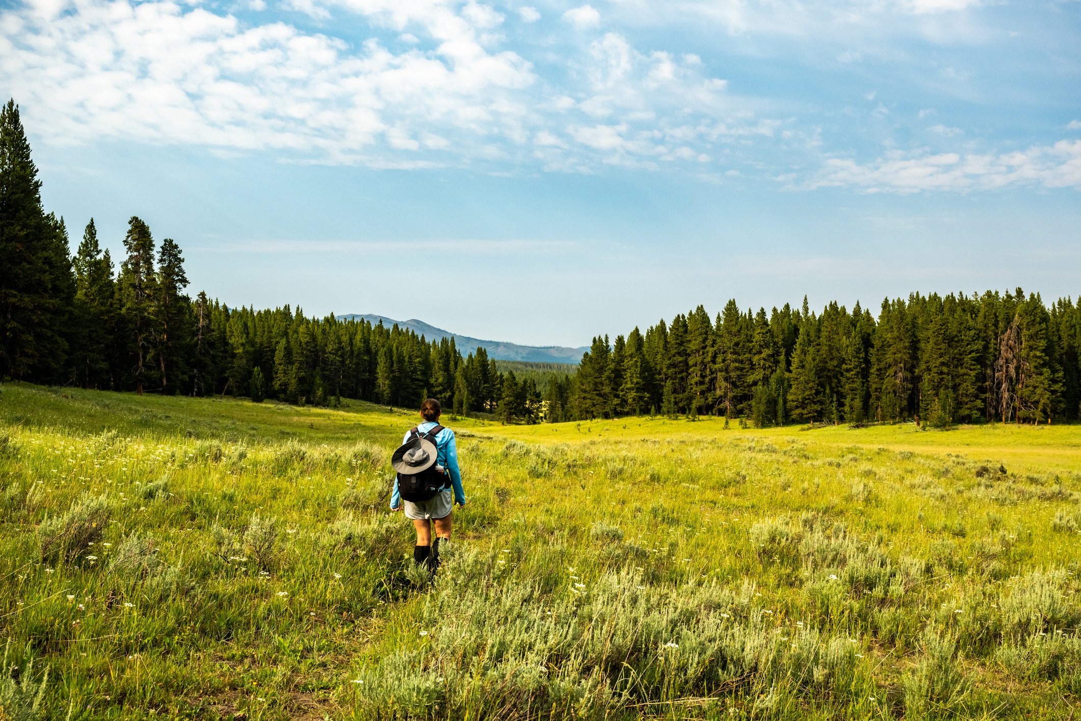Woman Hikes through Yellowstone Wilderness on the way to Wrangler Lake