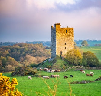 Carrigaphooca Castle photographed from the north east in the evening. The Rock of the Fairies. Ireland.