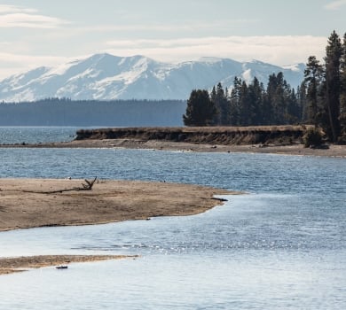 Fishing Bridge RV Park