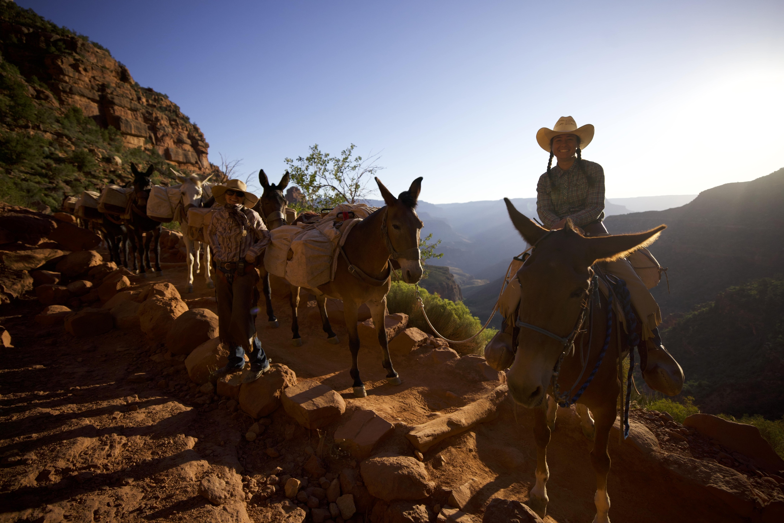 Amazon Packages: Journey to the Bottom of Grand Canyon 3