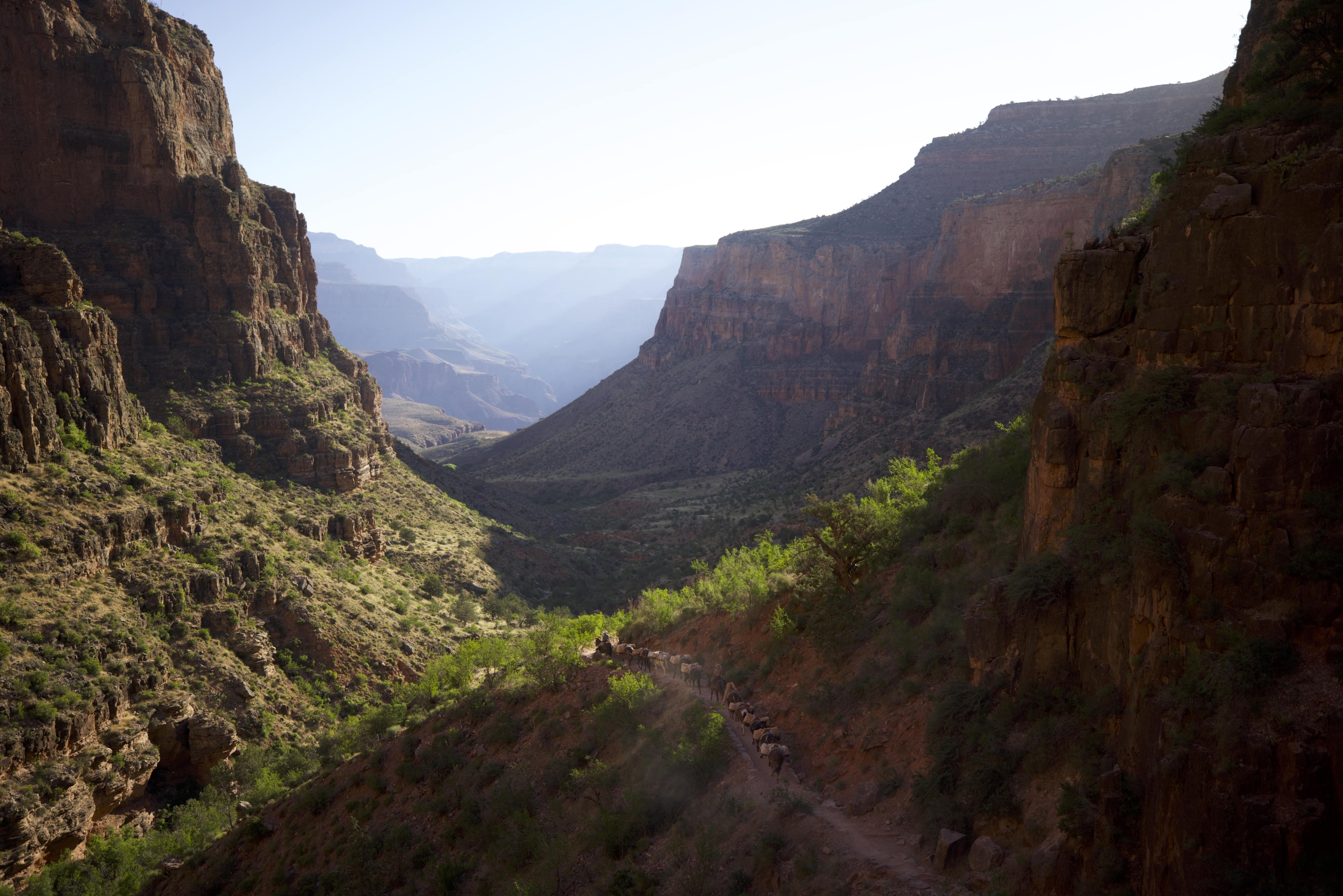 Amazon Packages: Journey to the Bottom of Grand Canyon 14