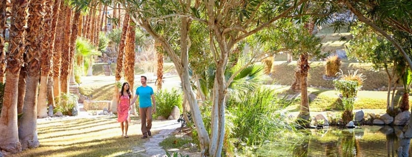 Inn Gardens