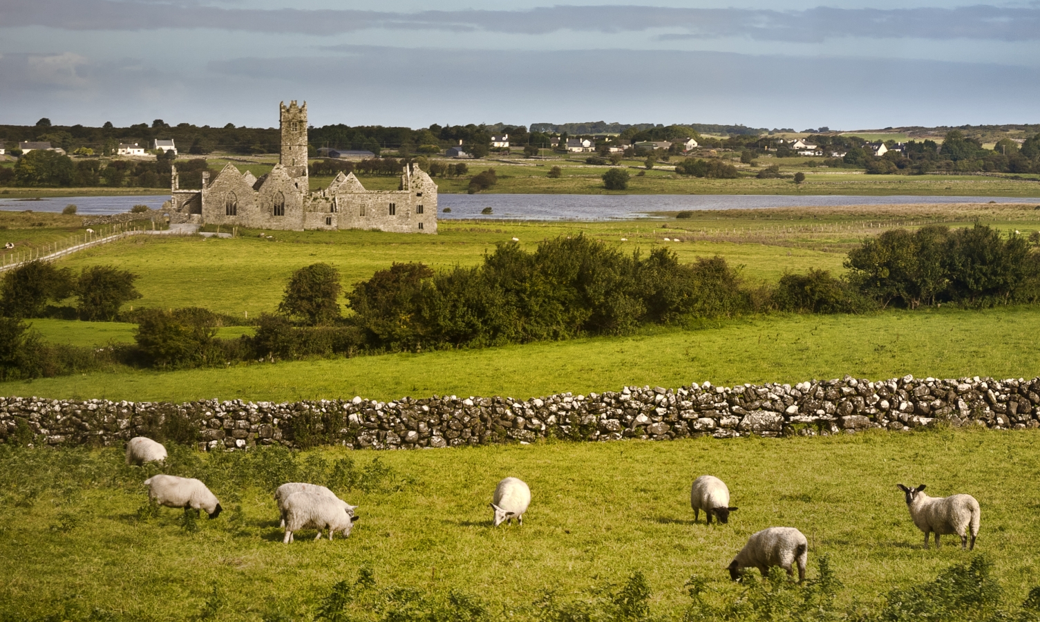 Journey on Two Wheels: Exploring Ireland with VBT Bicycling Vacations