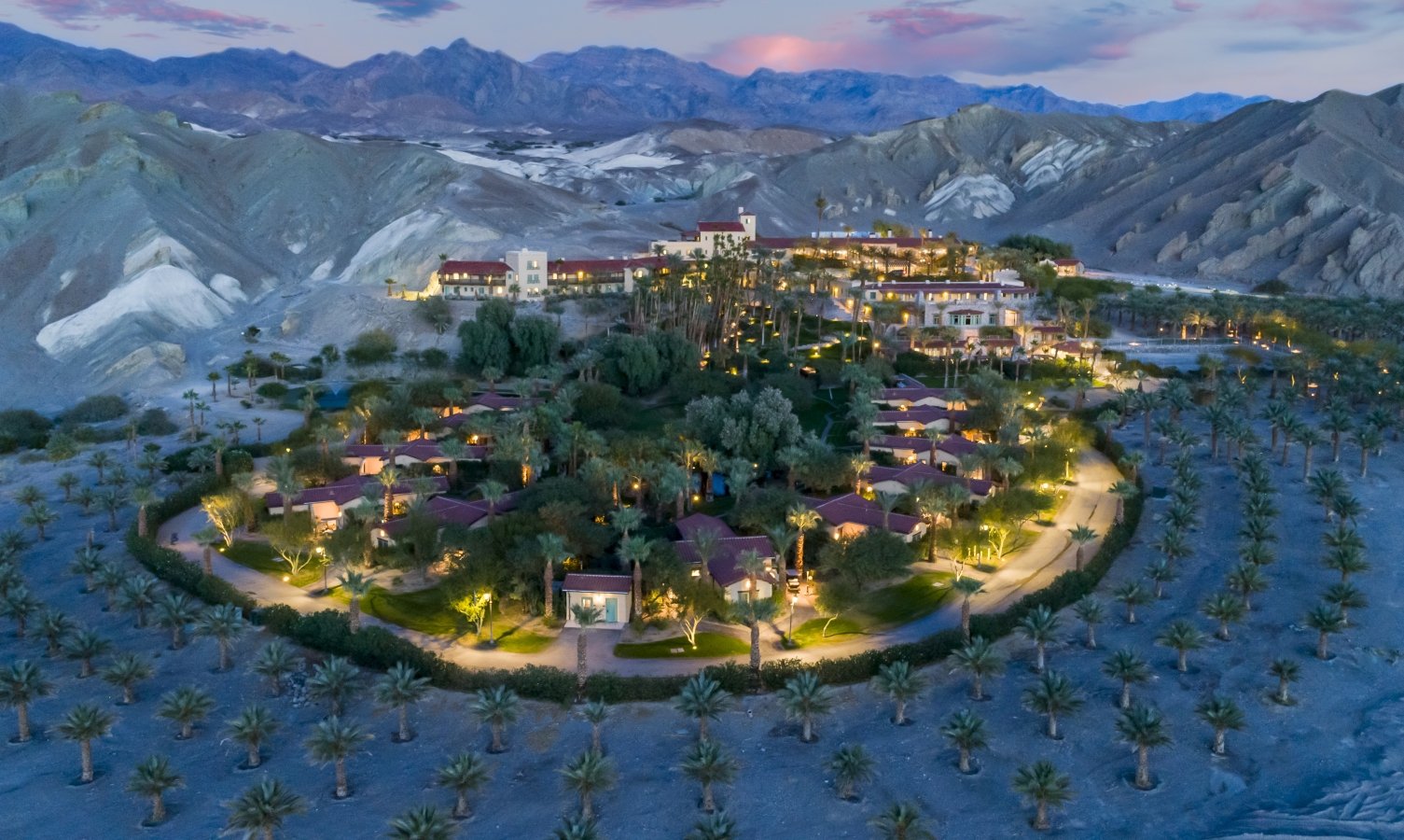 A Desert Icon Blooms