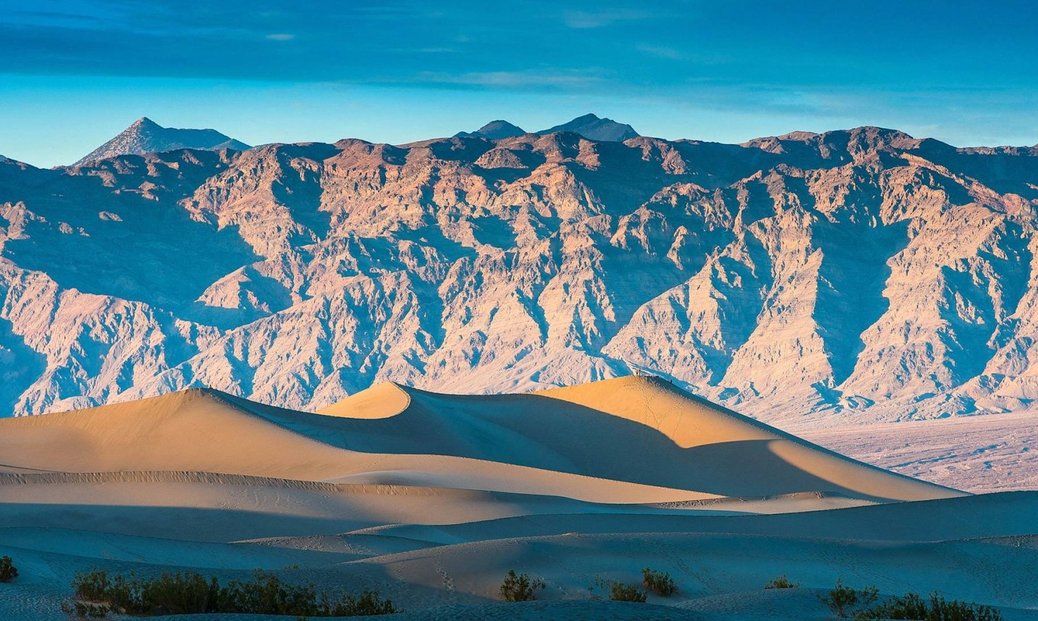 Mesquite Dunes