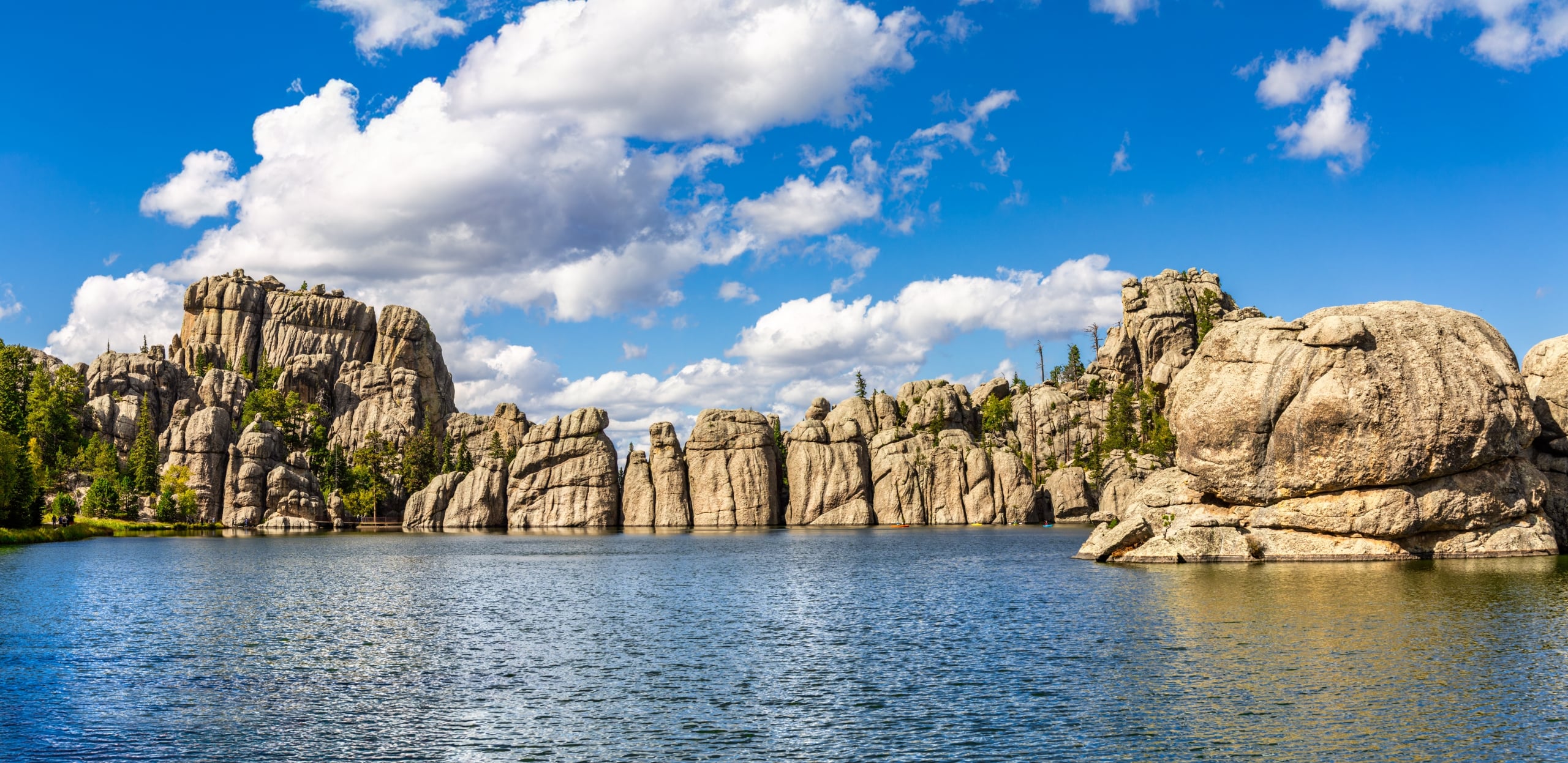Custer State Park scenic view